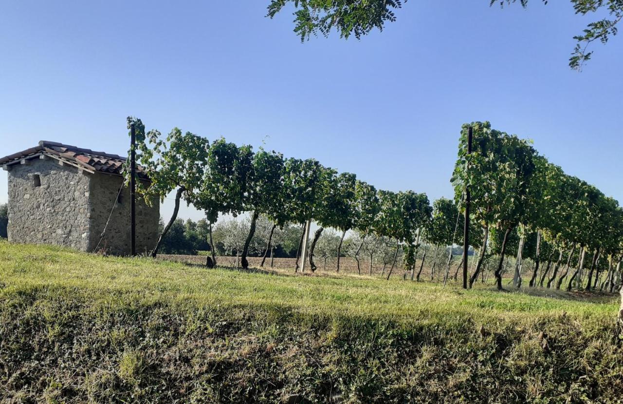 Vicolo Del Nido B&B Paderno Franciacorta Bagian luar foto