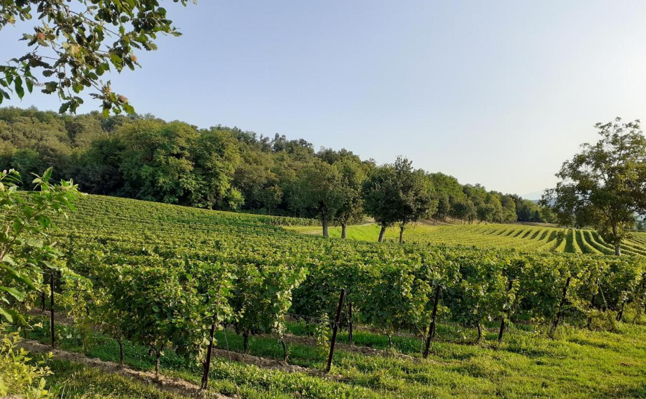 Vicolo Del Nido B&B Paderno Franciacorta Bagian luar foto