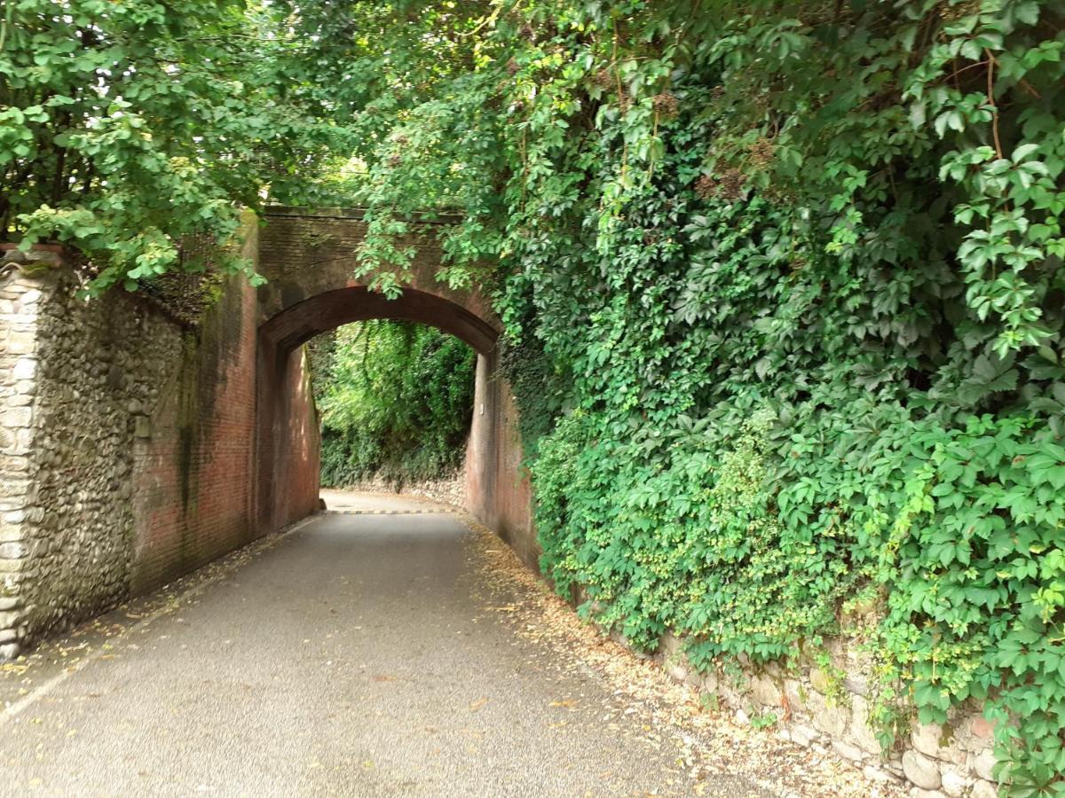 Vicolo Del Nido B&B Paderno Franciacorta Bagian luar foto