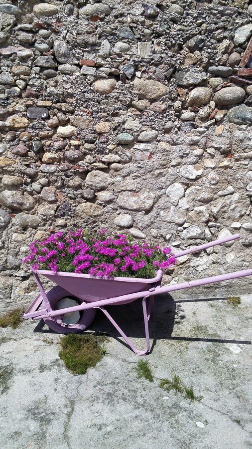 Vicolo Del Nido B&B Paderno Franciacorta Bagian luar foto